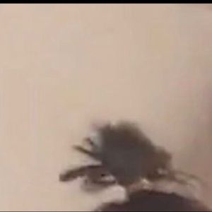 Meet your Posher, Evan